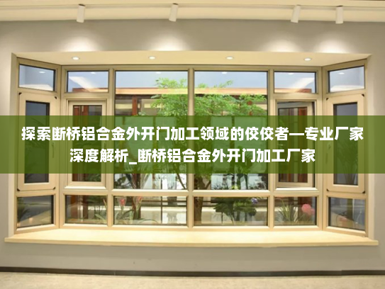 探索断桥铝合金外开门加工领域的佼佼者—专业厂家深度解析_断桥铝合金外开门加工厂家