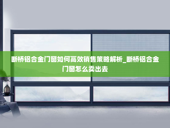 断桥铝合金门窗如何高效销售策略解析_断桥铝合金门窗怎么卖出去