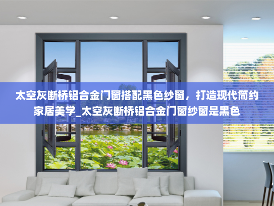 太空灰断桥铝合金门窗搭配黑色纱窗，打造现代简约家居美学_太空灰断桥铝合金门窗纱窗是黑色