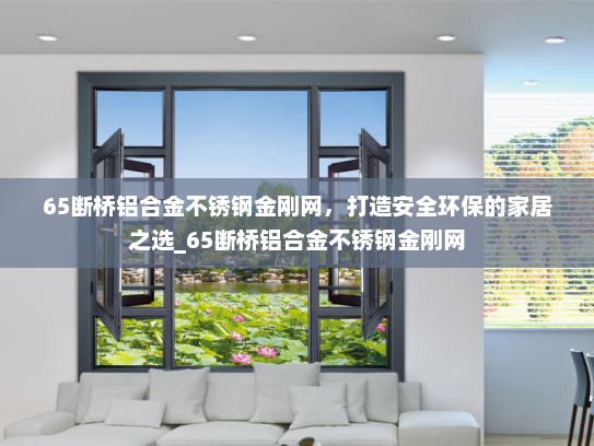 65断桥铝合金不锈钢金刚网，打造安全环保的家居之选_65断桥铝合金不锈钢金刚网